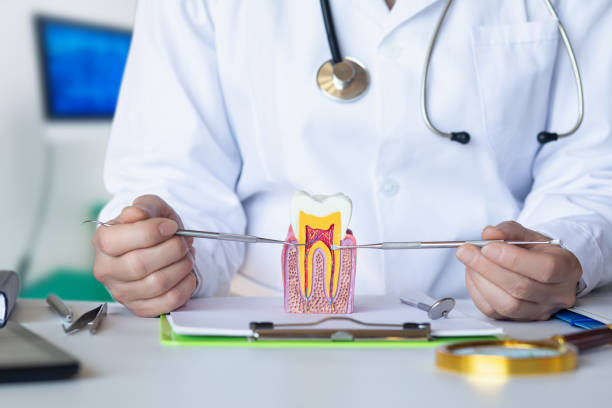 Best Emergency Root Canal Therapy in Ponderosa Park, CO